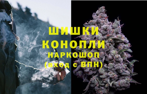 гидра Бородино
