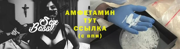 гидра Бородино