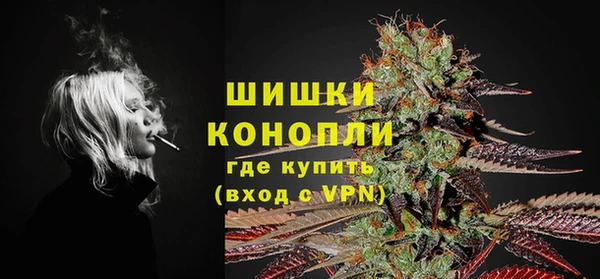 гидра Бородино