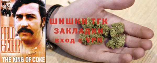 гидра Бородино